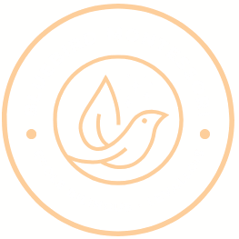 BlueBird Montessori